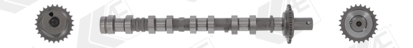 AE CAM1041 Camshaft