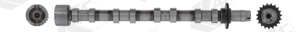 Camshaft CAM1031