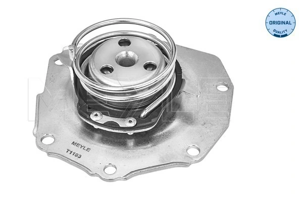 MEYLE 513 220 0006 Water Pump, engine cooling