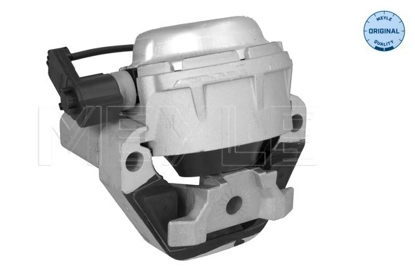 Ampaian, Enjin MEYLE-ORIGINAL: True to OE. 100 199 0308