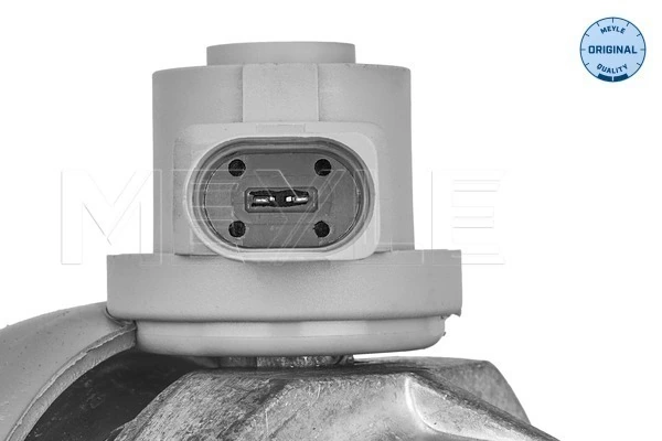 MEYLE 100 199 3171 Mounting, engine