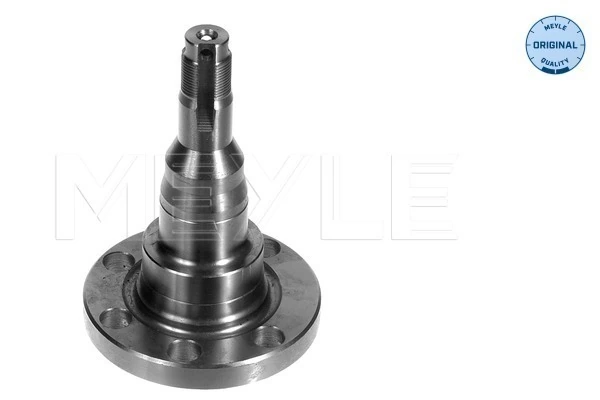 Steering Knuckle, wheel suspension MEYLE-ORIGINAL: True to OE. 100 501 1010