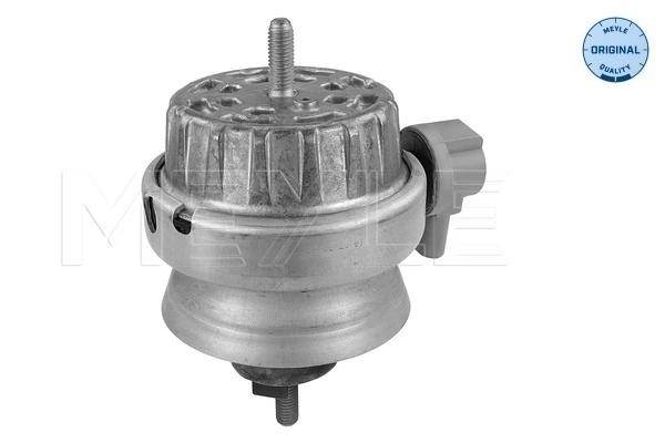 MEYLE 100 199 3160 Mounting, engine