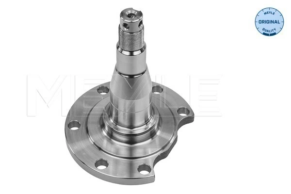 Steering Knuckle, wheel suspension MEYLE-ORIGINAL: True to OE. 100 501 0031