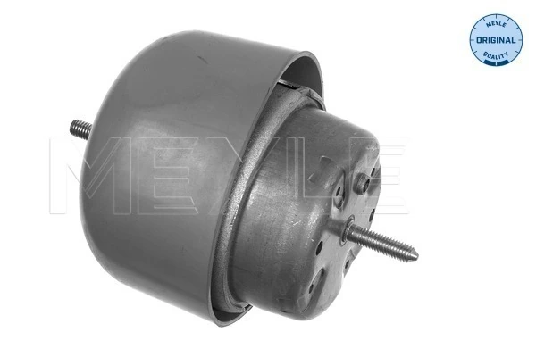 Mounting, engine MEYLE-ORIGINAL: True to OE. 100 199 0048