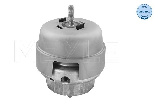 MEYLE 100 199 3161 Mounting, engine