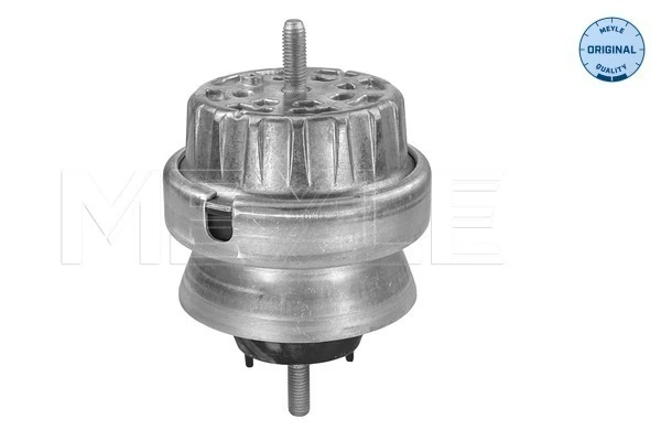 MEYLE 100 199 3161 Mounting, engine