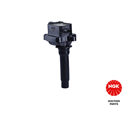 Ignition Coil 48291