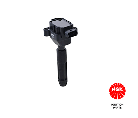 Ignition Coil 48089