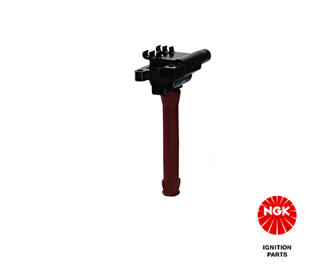 Ignition Coil 48100