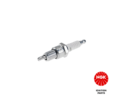 Spark Plug 5929