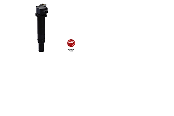 Ignition Coil 48247