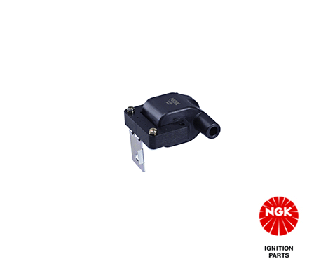 Ignition Coil 48211