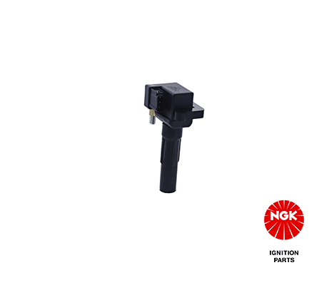 Ignition Coil 48215