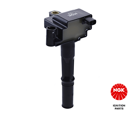 Ignition Coil 48248