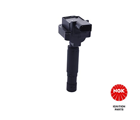 Ignition Coil 48207
