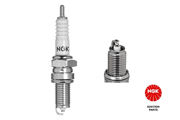 Spark Plug 5829