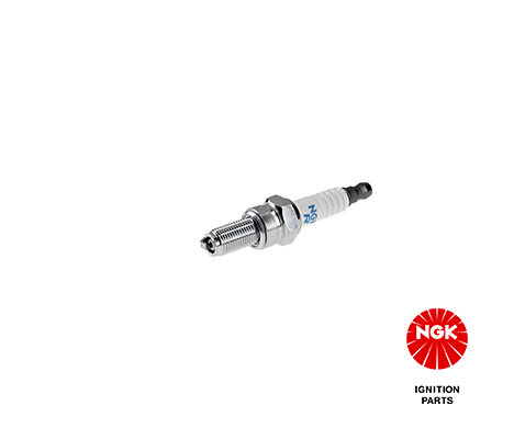 Spark Plug 4663