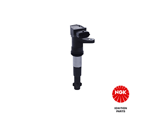 Ignition Coil 48161