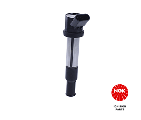 Ignition Coil 48256