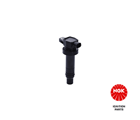 Ignition Coil 48245
