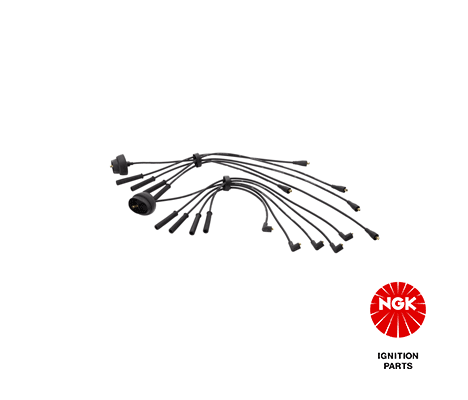 NGK 8619 Ignition Cable Kit