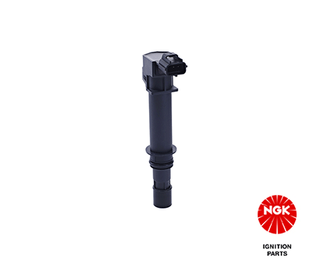 Ignition Coil 48194
