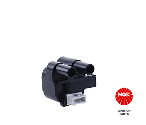 Ignition Coil 48020