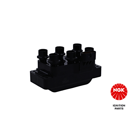 Ignition Coil 48079