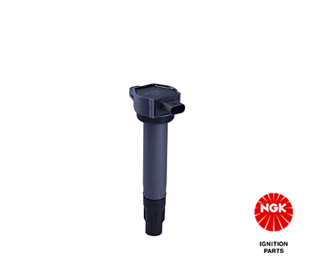 Ignition Coil 48321