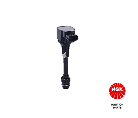 Ignition Coil 48226