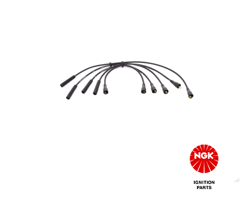 Ignition Cable Kit 5976