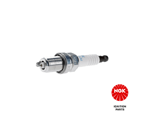 Spark Plug 4896