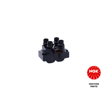Ignition Coil 48021