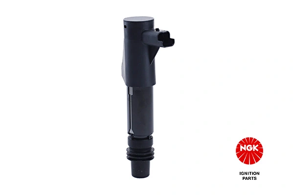 Ignition Coil 48031