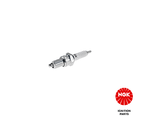 Spark Plug 5829
