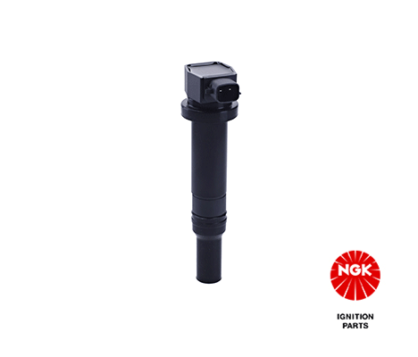 Ignition Coil 48275