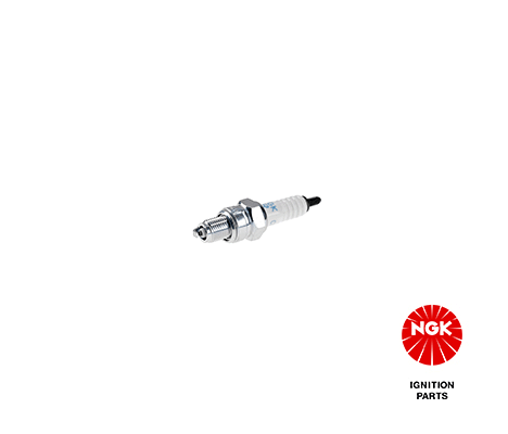 Spark Plug 2983