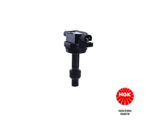 Ignition Coil 48171
