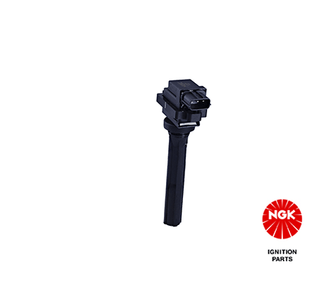 Ignition Coil 48281