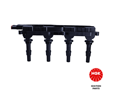 Ignition Coil 48011