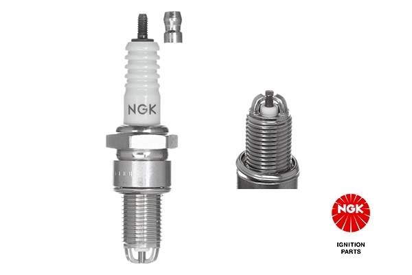 NGK 3684 Spark Plug