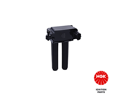 Ignition Coil 48265