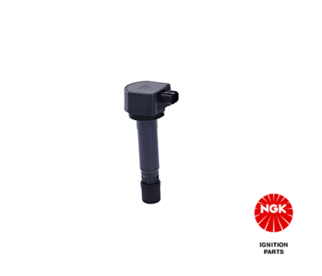 Ignition Coil 48266