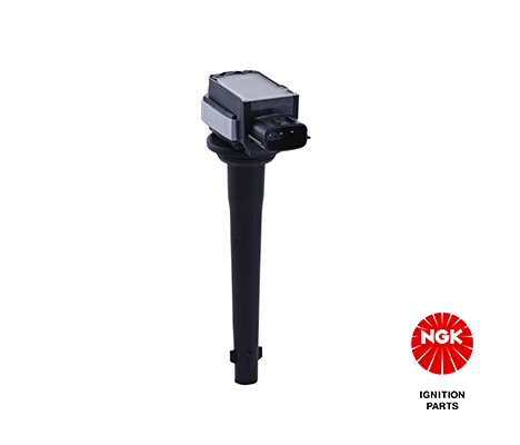 Ignition Coil 48162
