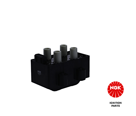 Ignition Coil 48078