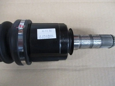 BOSCH 0 432 231 711 Nozzle and Holder Assembly