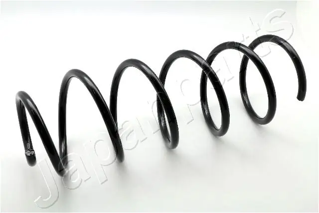 Suspension Spring ZC3463C