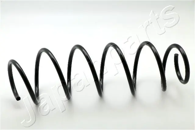 Suspension Spring ZC3559A
