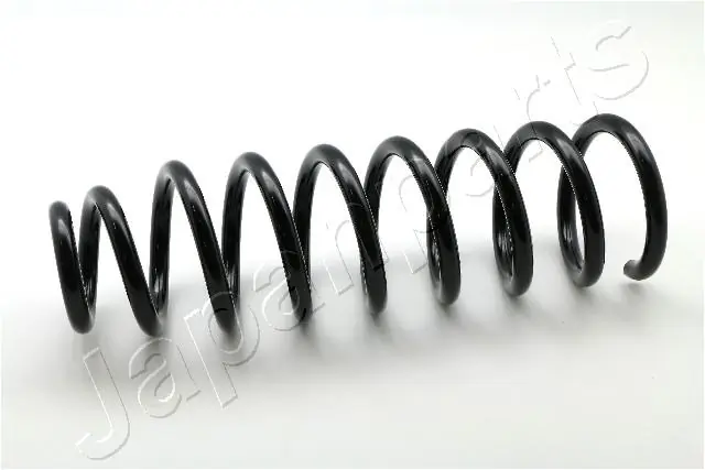 Suspension Spring ZC5534C